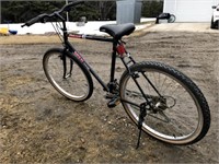 Huwahara M3.5 Parkway Bicycle (Black)