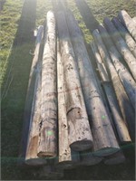 12- Nice 7' Creosote Fence Posts