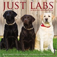 Labrador Retriever Calendar 2025 Mini