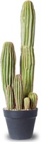 $58  24 Artificial Cactus for Home & Office