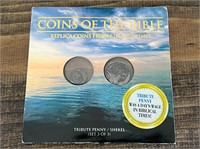 Replica Coins of the Bible Tribute Penny/Shekel