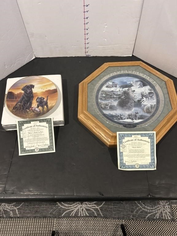 Mystic spirits plate and dog plate