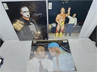 Hulk Hogan & Sting Signed Photos JSA Certified