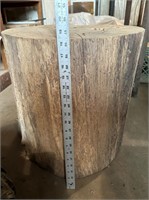 Large Tree Stump