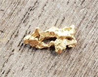 Natural Alaska Gold Rush Nugget #3
