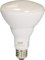 FEIT ELECTRIC BR30DM/927CA LIGHT BULB