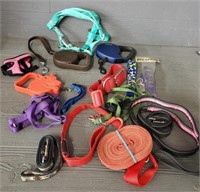 Dog Items Collers/leases & More