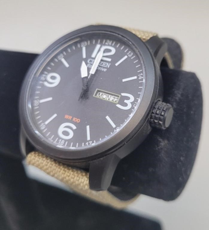 Men's Citizen Eco-Drive Wrist Watch