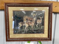 Framed Deer Print 23"x19"