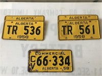 License Plates (5)