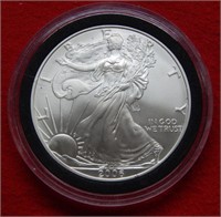 2006 American Eagle 1 Ounce Silver Plastic Holder