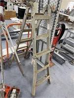 Metal Folding Ladder