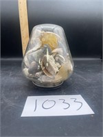 Seashells, Yellow Fluorite, in Jar