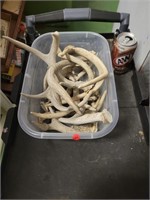 Lot of Antler Pieces, Cuts, Chews