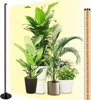 Grow Lights for Indoor Plant
