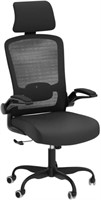 Ergonomic Desk Chair w/ Adjustable Lumbar Support