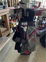 Golf Clubs in Top Flight Carry Bag