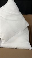 2- 18x18 Pillows