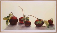 H. Flockhart, "APPLES" Botanical Lithograph 16/13