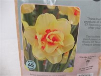 45-Pk Tasc Narcissus Double Tahiti Bulbs