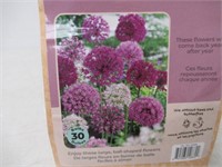 30-Pk Tasc Allium Assorted Bulbs