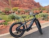 Premium All-terrain Electric Fat Bike Zebra