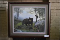 Wildlife, smoky mountains, bear, seen copy,