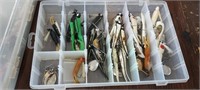 ORGANIZER FILLED WITH FISHING WORMS, PLUS