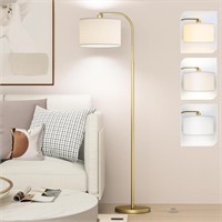 Arc Floor Lamps for Living Room with 3 Color