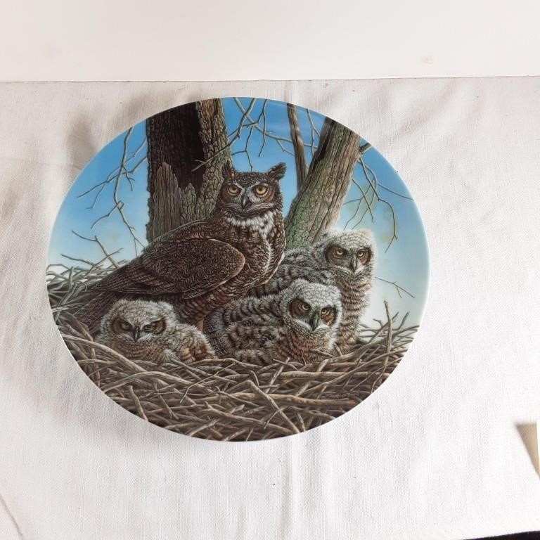 The great horned owl plate