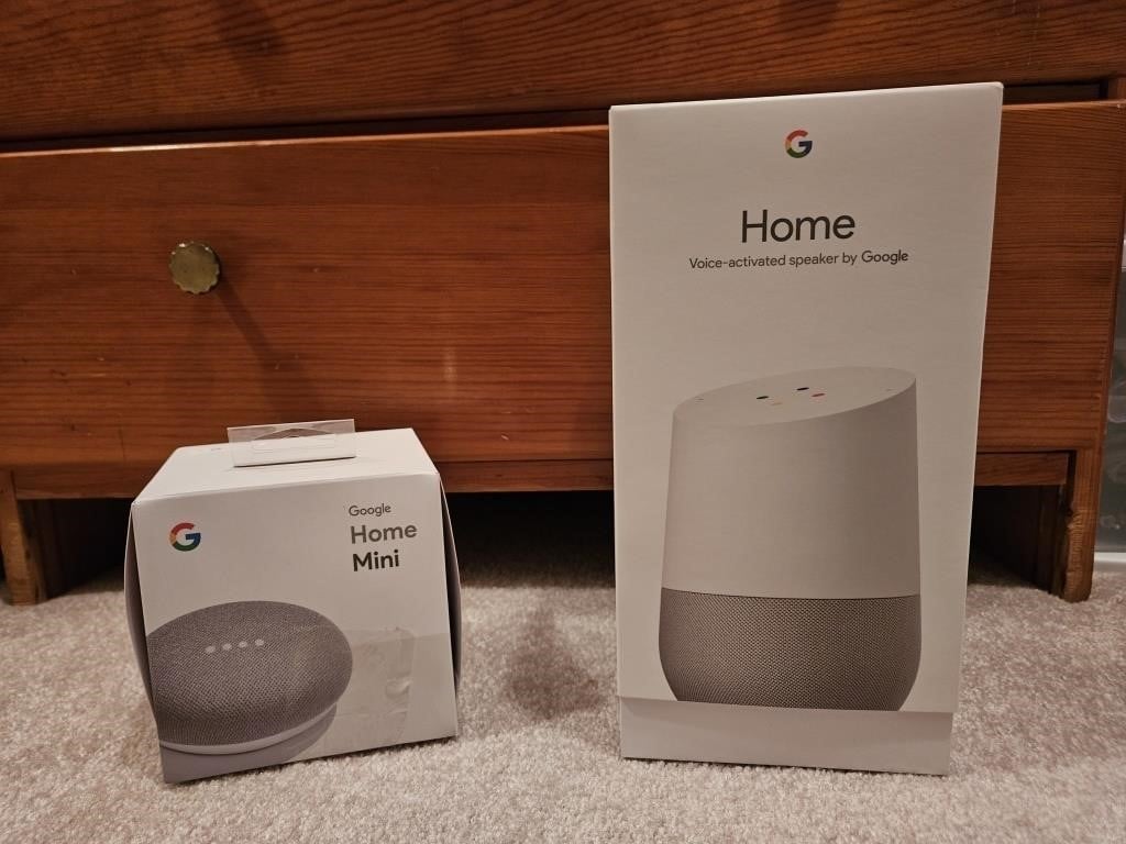 Google Home Speaker and Google Home Mini