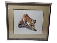 Debi Doble Mountain Lion w/ COA 334/450   UNO