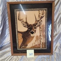 deer picture