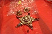 Broche and earring set- clip on--F