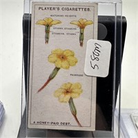 VTG TOBACCO CARD PLAYERS CIG'S A HONEY PAID DEBT