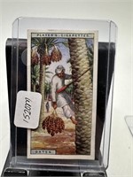VTG TOBACCO CARD PLAYERS DATES