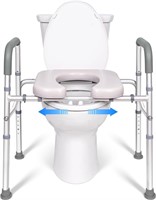 $100 Raised Toilet Seat with Handles