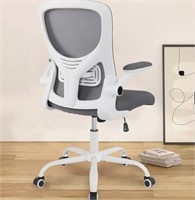 Ergonomic Desk Chair with Lumbar Support