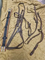 (Private) AUSSIE LEATHER PONY SIZE GEAR