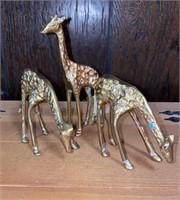 Small Brass giraffes