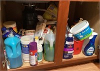 Contents of cabinet under kitchen sink