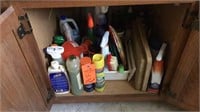 Cabinets of cleaning supplies