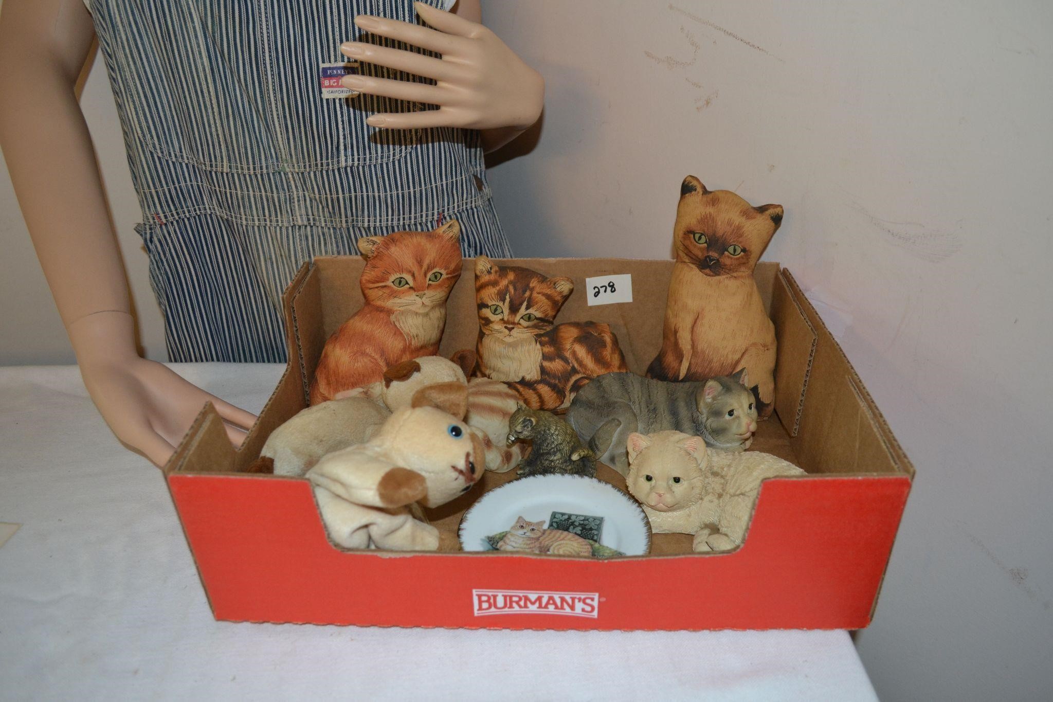 Cat items Box lot
