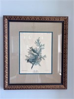 JJ Audubon Cedar Bird framed print vintage