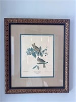 JJ Audubon Cardinal Grosbeak framed print