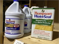 THOMPSONS WATER SEAL DECK WASH & PROTECTOR