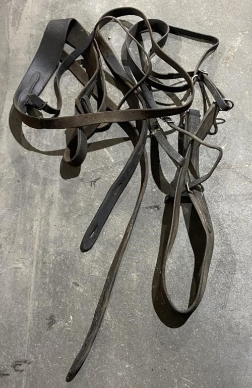 Leather Equestrian Harness