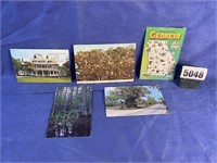 Vintage Picture Post Cards of Georgia Scenery &