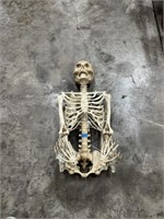 Brand New Halloween Life-size Skeleton