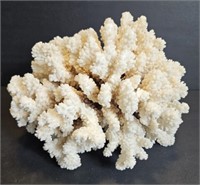 Dried 9"  White Coral Cluster